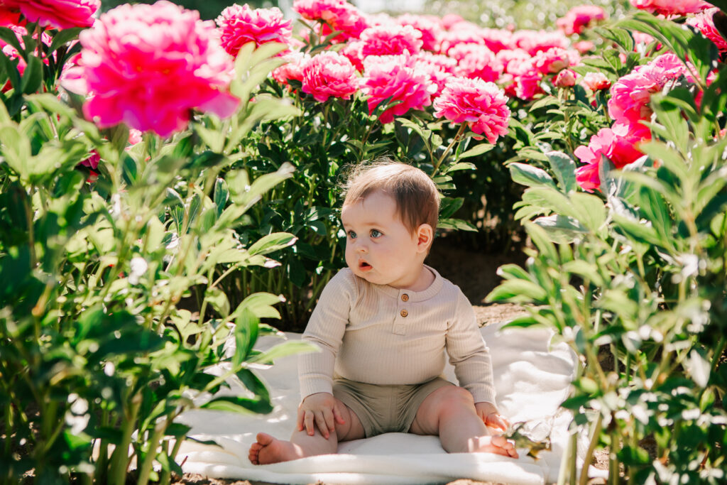 Baby sits on a blanket surrounded by peonies at a spring mini session with Jen White Photography of Albany, OR